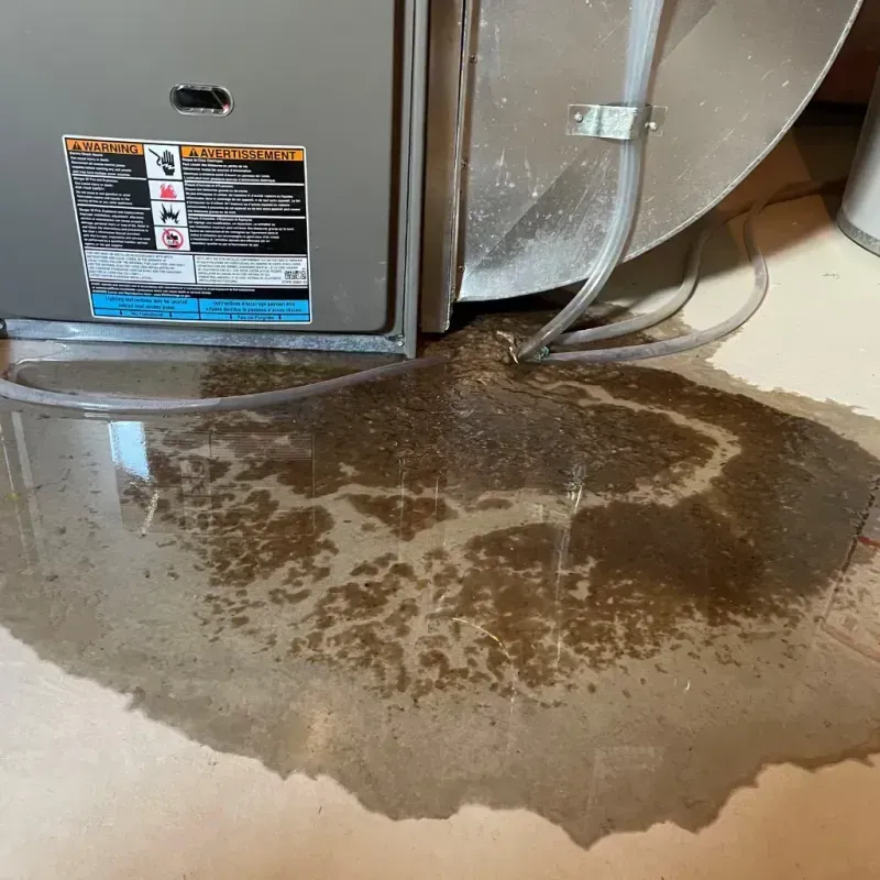 Appliance Leak Cleanup in Angels Camp, CA